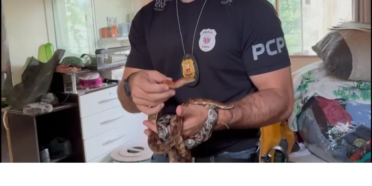 Polícia prende suspeito em flagrante por tráfico de animais em Imbituva. VÍDEO!