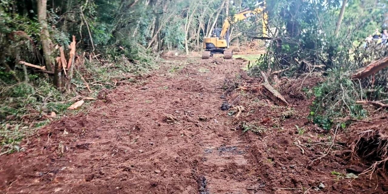 Homem é preso em flagrante por dano ambiental