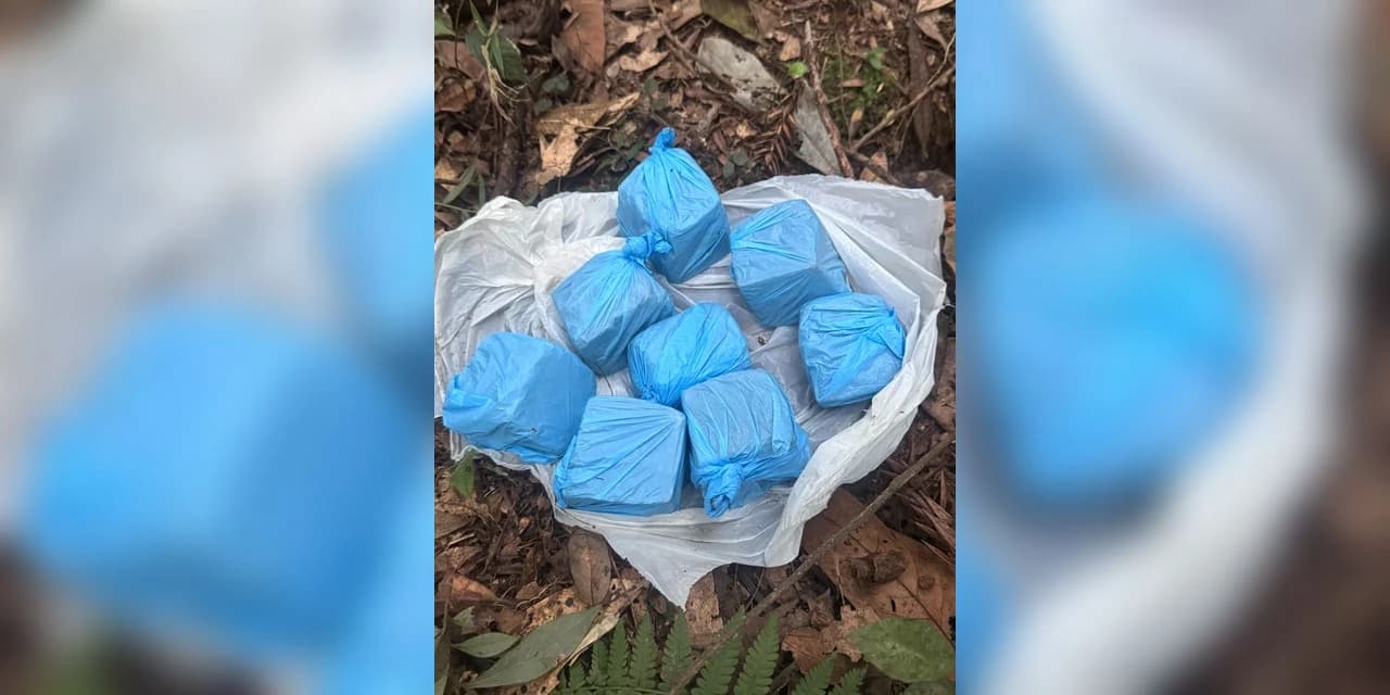 Em Prudentópolis duas pessoas são presas por tráfico de drogas