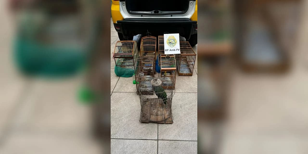 Polícia Ambiental apreende pássaros silvestres em Guarapuava