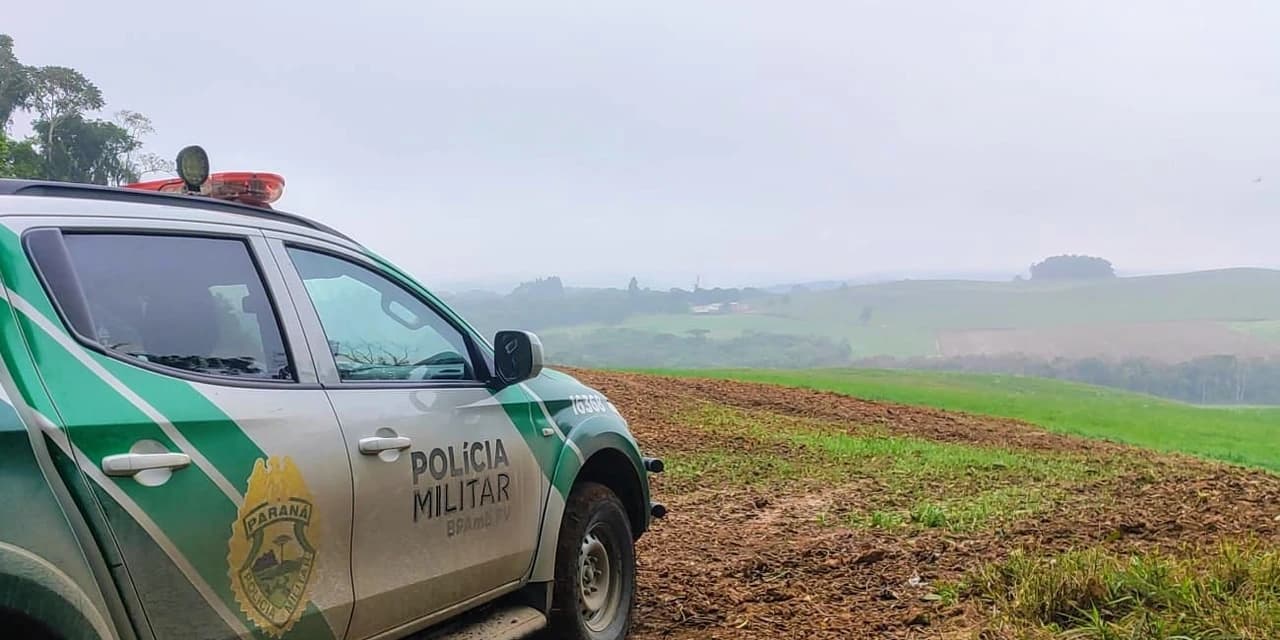 Polícia ambiental identifica supressão ilegal de vegetação em propriedade de Antônio Olinto