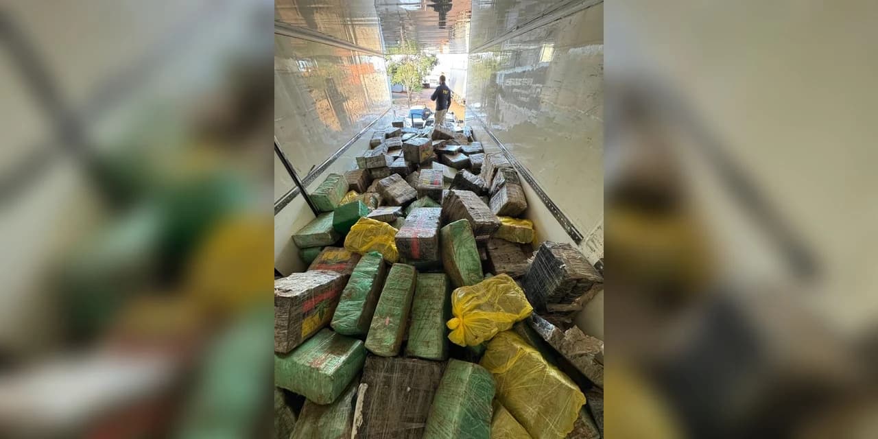 PRF apreende quase 8 toneladas de maconha e faz a maior apreensão do ano no Paraná