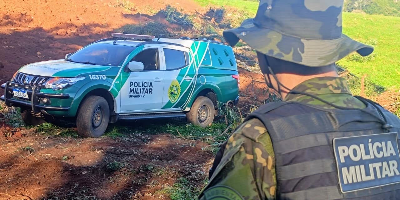 Dois homens são presos em flagrante por desmatamento ilegal em Santa Maria do Oeste