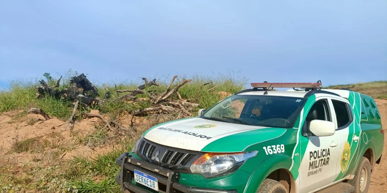 Em Ivaí produtor é multado em R$ 39 mil por destruição de vegetação nativa