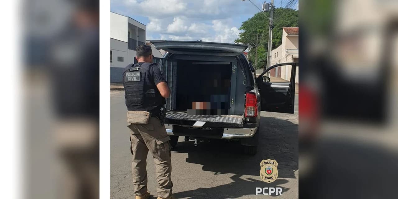 PCPR prende homem em flagrante por maus-tratos a 37 cães em Castro