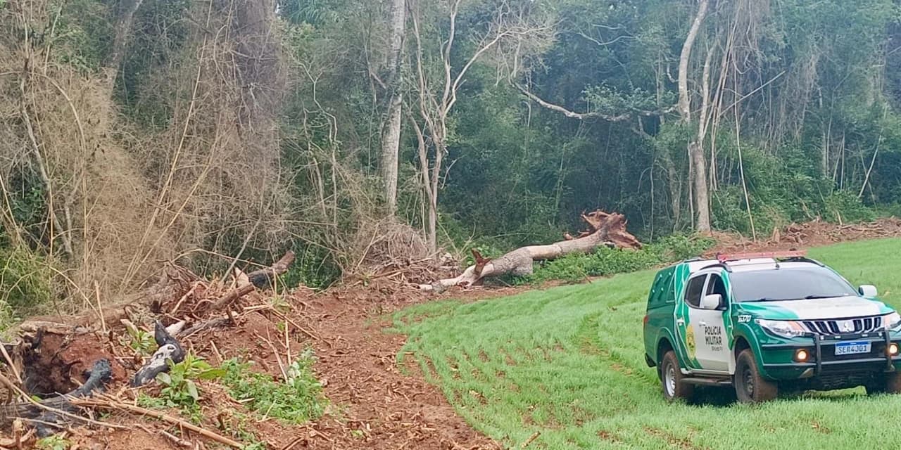 Denúncia anônima leva à constatação de destruição de quase 14 hectares de vegetação nativa em Nova Laranjeiras