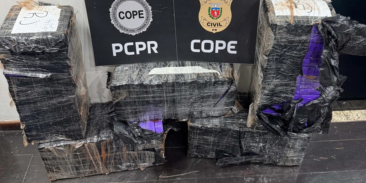 Após trabalho de inteligência, PCPR prende homem com 150 quilos de maconha na BR-277