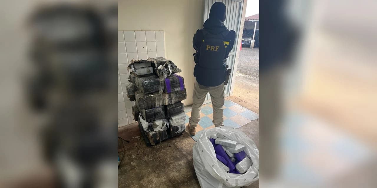 PRF apreende mais de 200 quilos de maconha após acompanhamento tático na BR-277, em Guarapuava