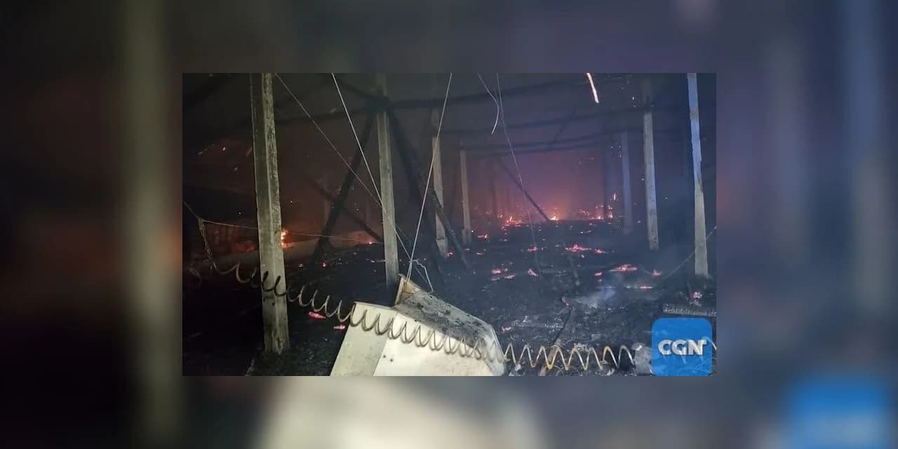 Incêndio atinge aviário no Paraná, mata 21 mil pintainhos e causa R$ 2 milhões em prejuízos