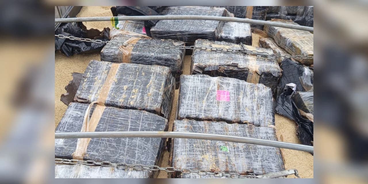 Com ajuda de cão, PMPR intercepta 1 tonelada de maconha em caminhão de arroz
