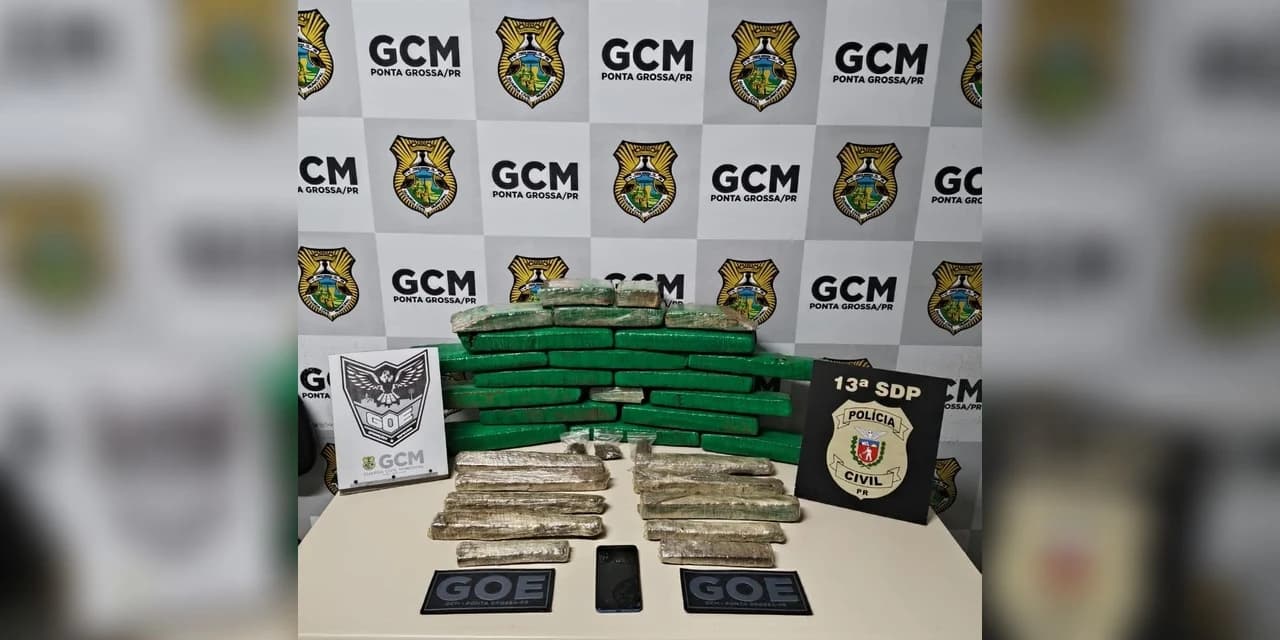 Guarda municipal e polícia civil apreendem 20 kg de maconha no bairro uvaranas