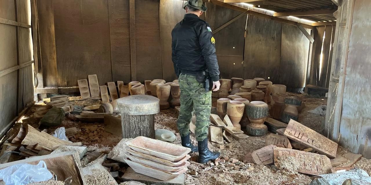 Apreensão de madeira nativa e motosserra irregular é realizada em Irati