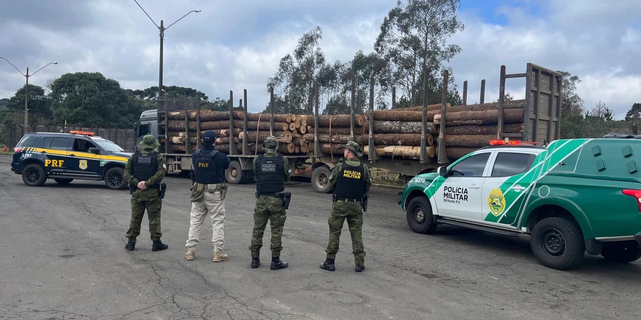 PRF e PM apreendem carga irregular de madeira nativa na BR-277, em Guarapuava