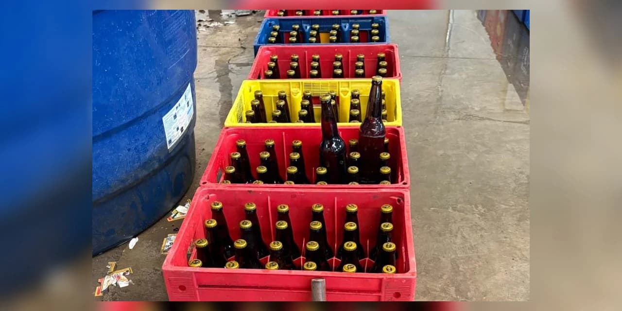 22,3 mil cervejas falsificadas: PCPR e PMPR desarticulam grupo que adulterava rótulos