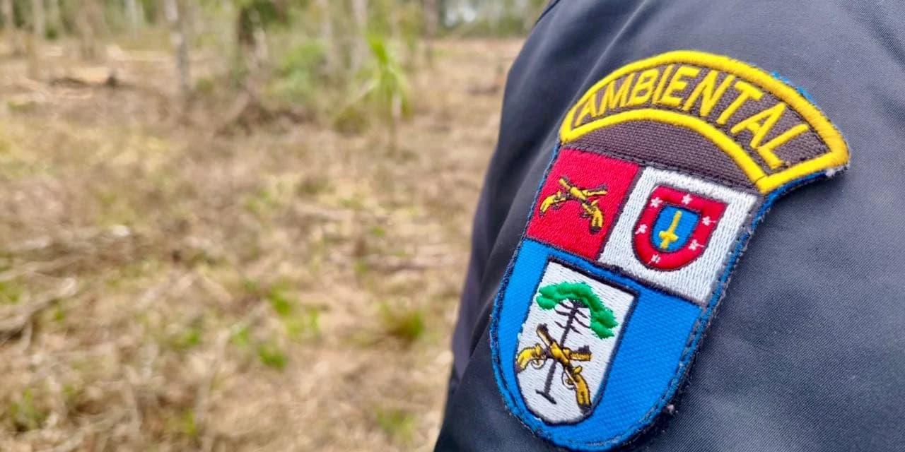 Polícia Ambiental autua responsáveis por danos ambientais em Rio Azul e Antônio Olinto