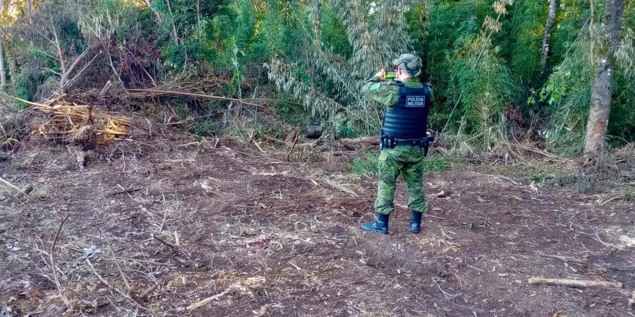 Polícia Ambiental identifica desmatamento ilegal em Antônio Olinto e autua proprietária em R$ 60 mil