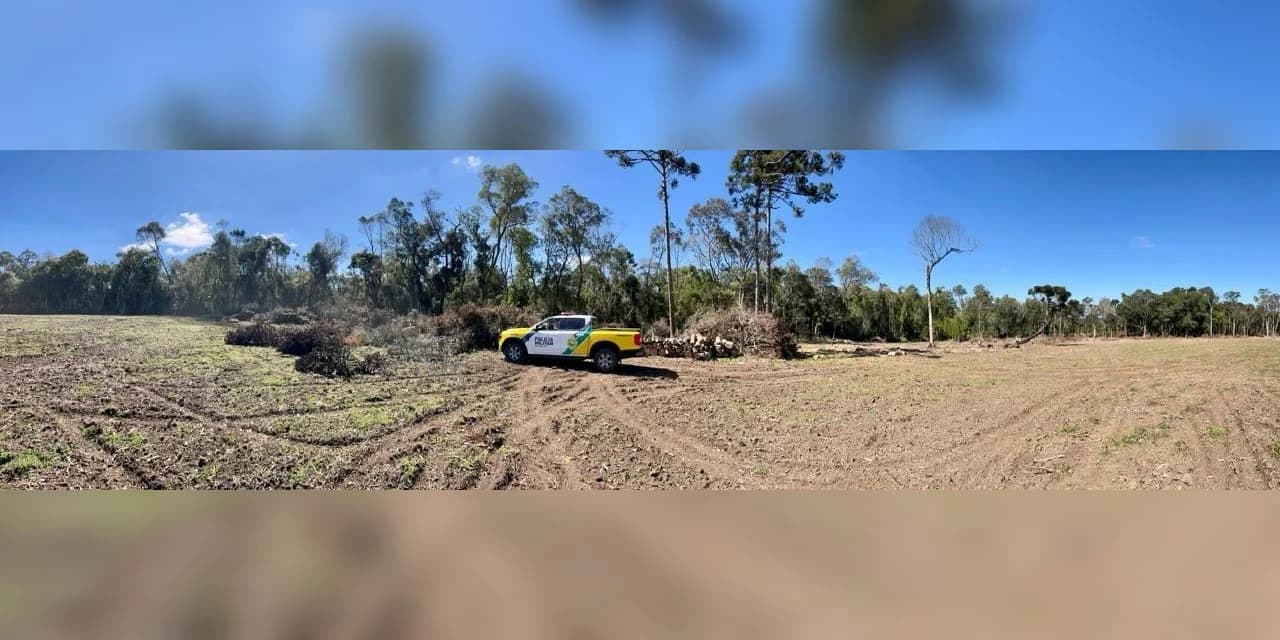 Polícia Ambiental atua contra crimes ambientais em Ponta Grossa e Imbituva