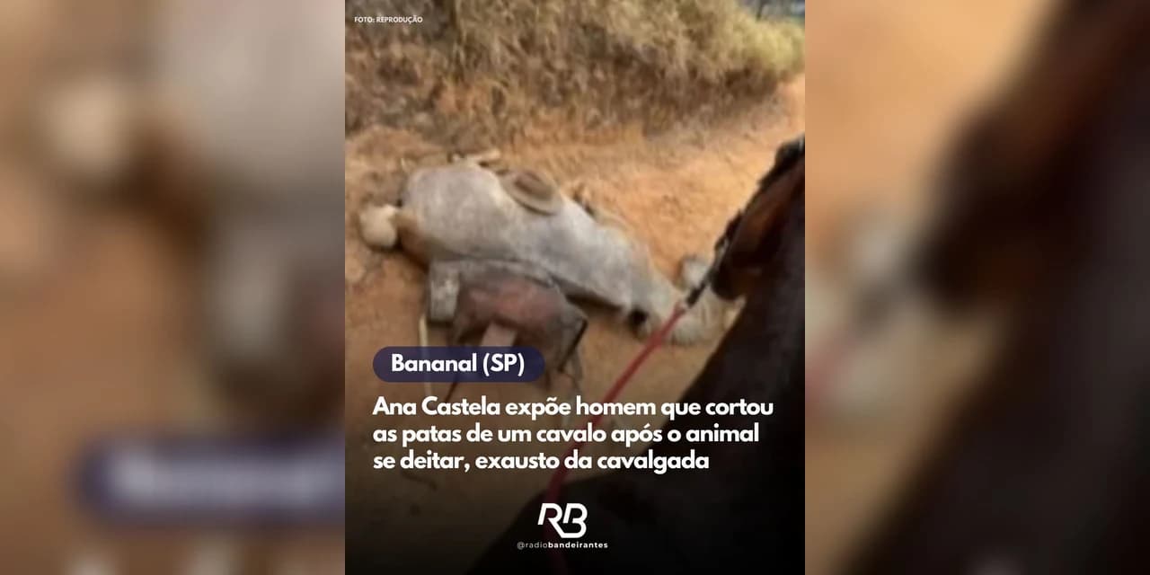 Ana Castela expõe homem que cortou as patas de um cavalo após o animal se deitar, exausto da cavalgada