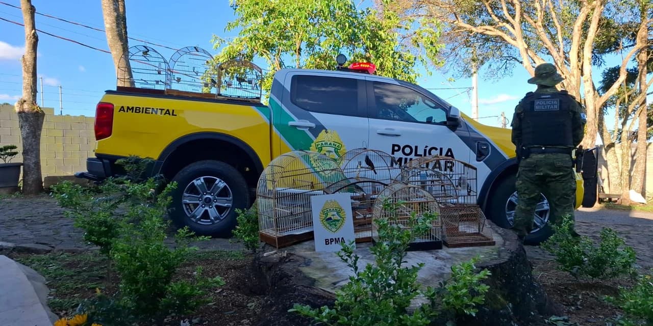 Em Guarapuava, policiais militares ambientais apreenderam pássaros silvestres mantidos em cativeiro irregularmente.