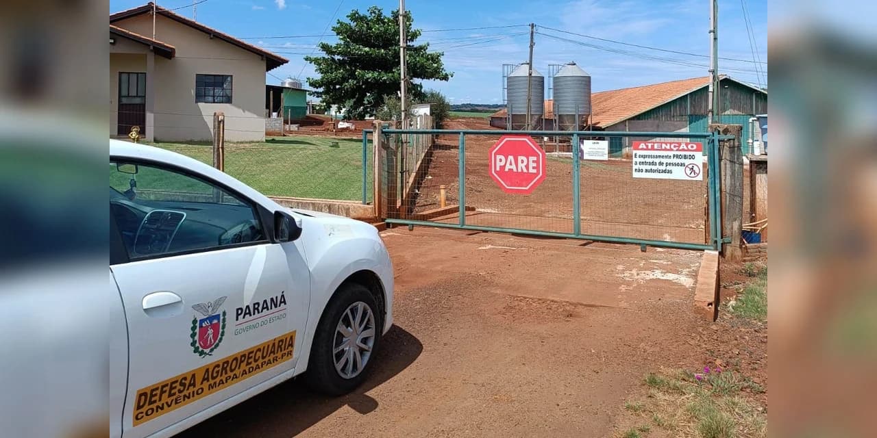 Adapar promove força-tarefa para garantir biosseguridade em estabelecimentos avícolas