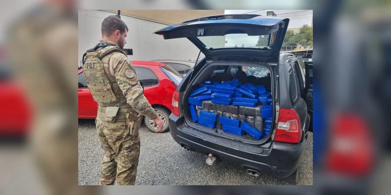 PRF apreende mais de 500 quilos de maconha em Campo Largo