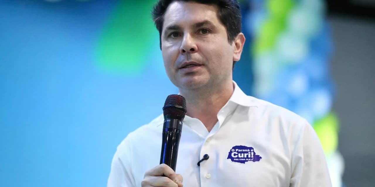 Presidente da ALEP, deputado Alexandre Curi (PSD), propõe audiência pública para discutir a crise do setor madeireiro