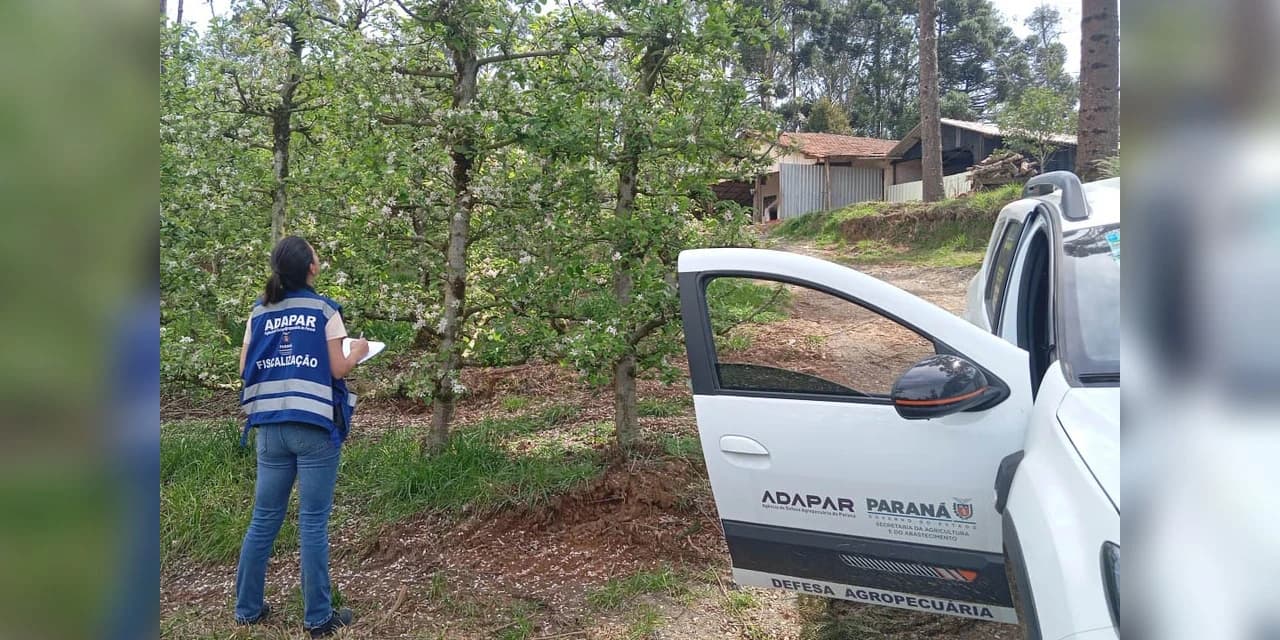 Adapar anuncia concurso com 57 vagas; salários chegam a R$ 8,4 mil
