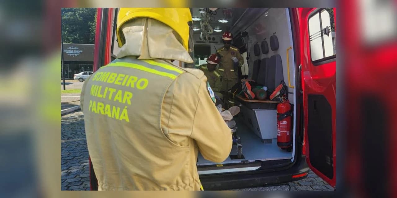Corpo de Bombeiros do Paraná registra 300 ataques de cachorros desde o início do ano