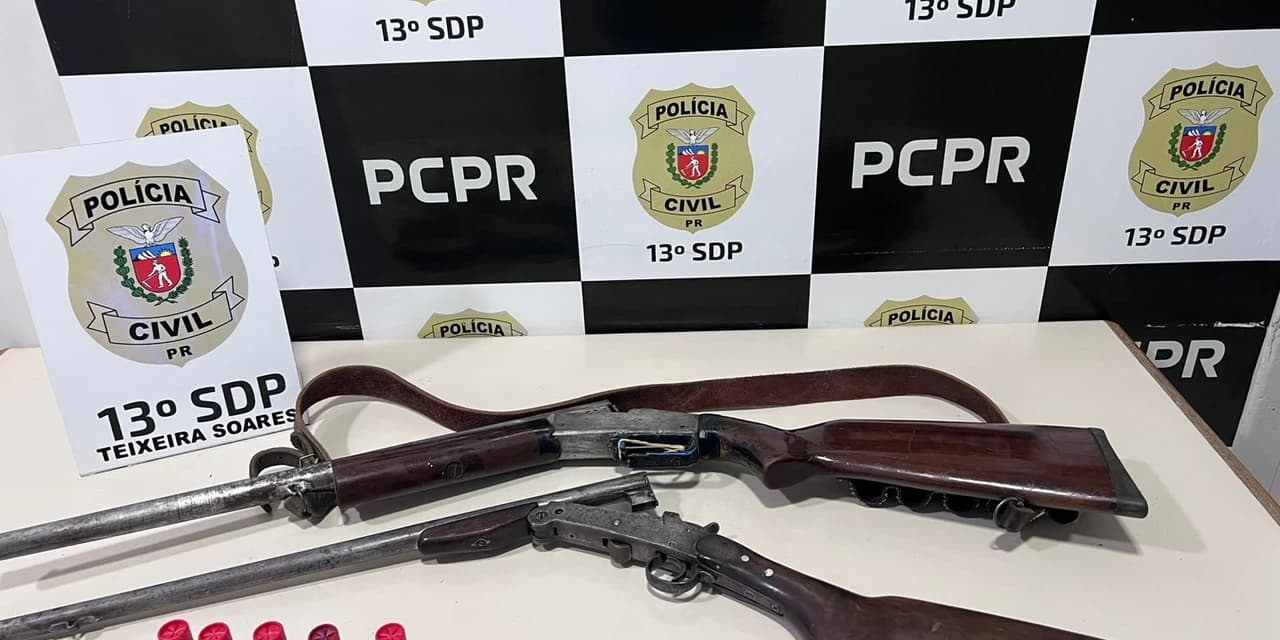 Polícia civil de Teixeira Soares apreende armas de fogo durante cumprimento de mandado judicial