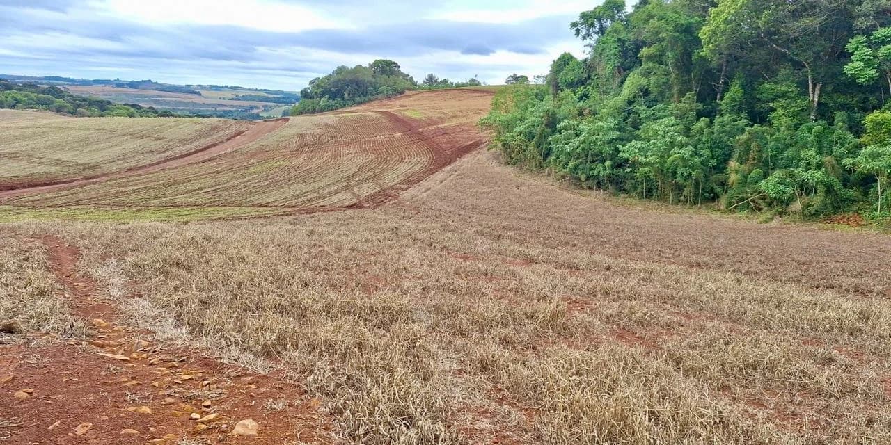 Polícia ambiental flagra desmatamento ilegal e aplica multa de R$ 83 mil em Santa Maria do Oeste