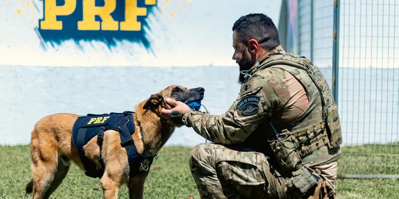 PRF realiza encontro nacional sobre o uso de cães policiais em Curitiba