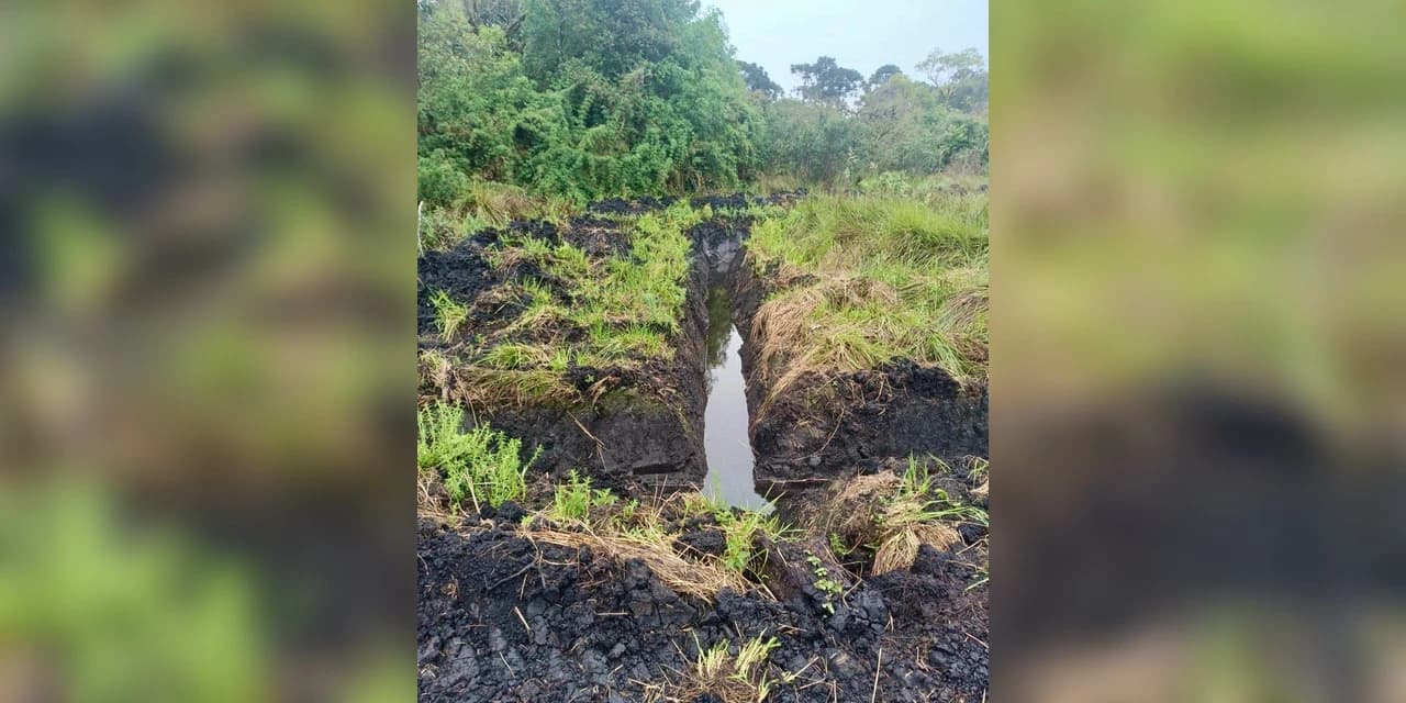 Produtor rural multado em R$ 96 mil por reincidência e dano ambiental em Rio Azul