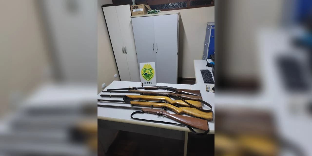Polícia apreende cinco armas em Inácio Martins