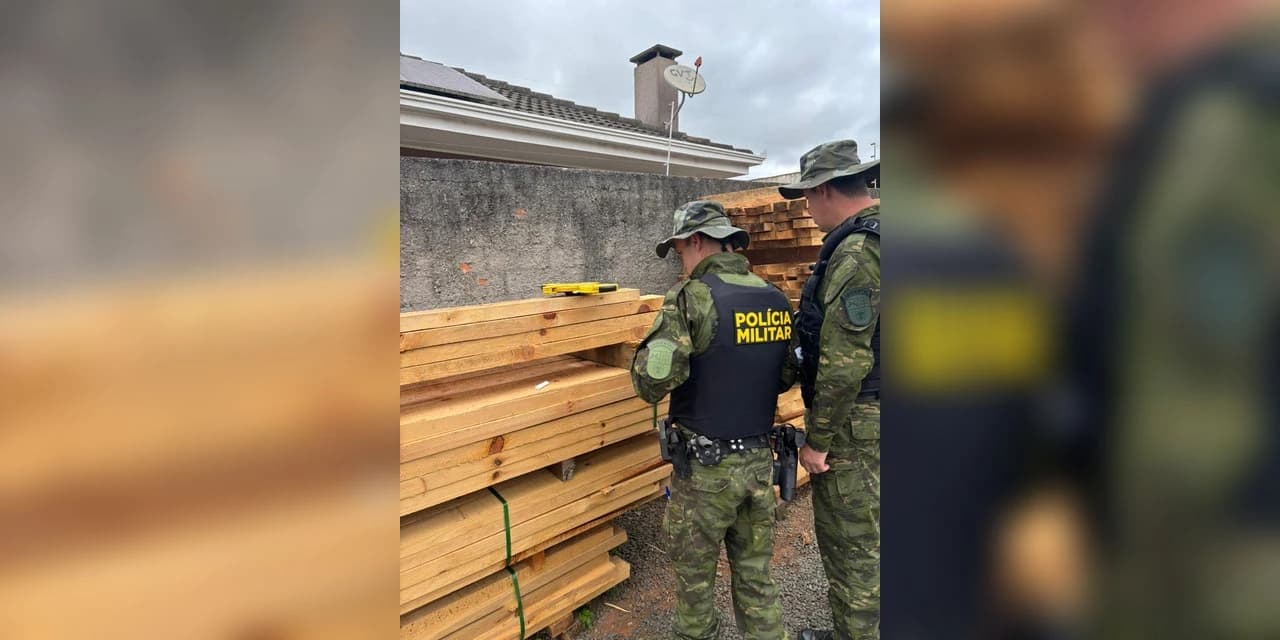 Polícia Militar Ambiental realiza fiscalização em comércio de madeiras em Ponta Grossa