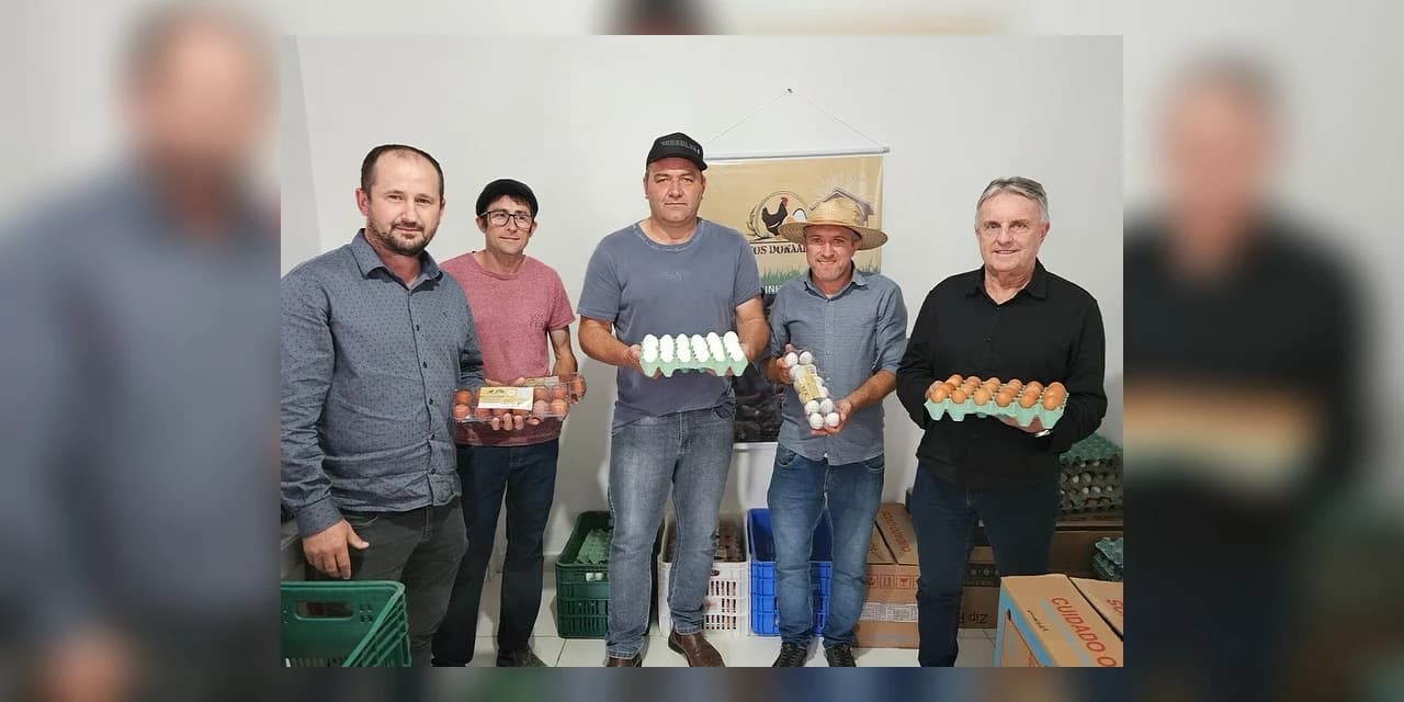 Pequeno produtor de Prudentópolis inicia implantação de granja com 2000 galinhas com uma produção de 1800 ovos diários. VÍDEO!