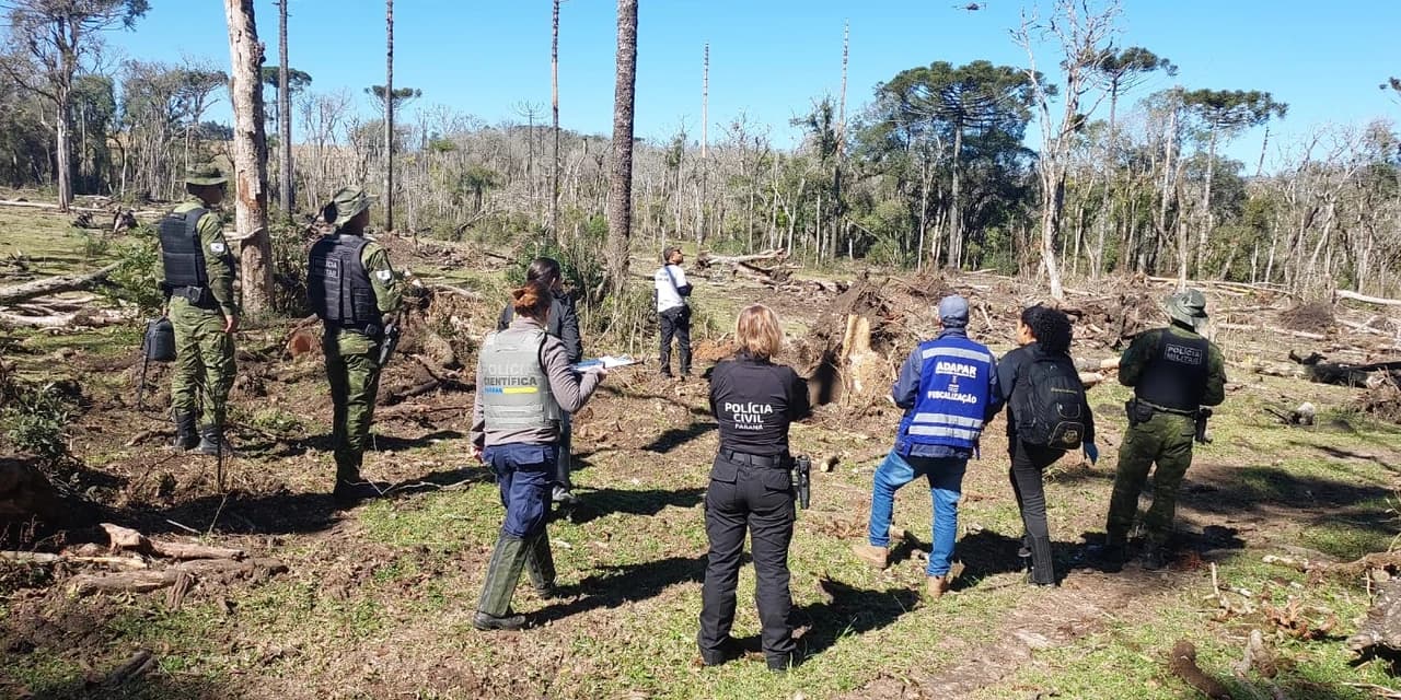 Indivíduo é preso em Rebouças por crime ambiental em Rio Azul
