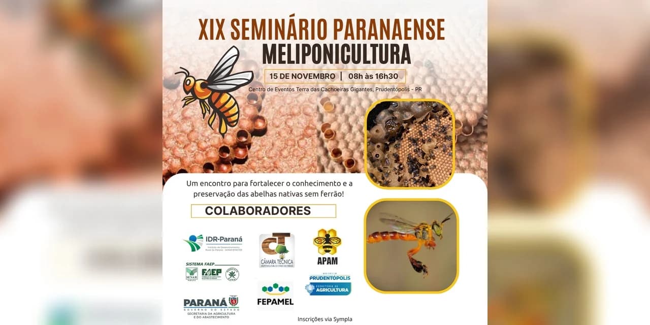 Prudentópolis sediará encontro estadual técnico sobre meliponicultura