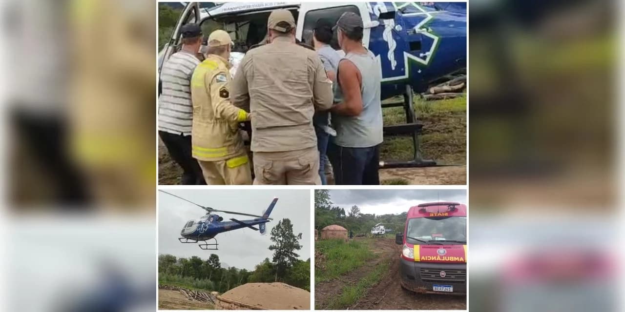 Homem fica gravemente ferido após ser atingido por eucalipto no interior de Prudentópolis