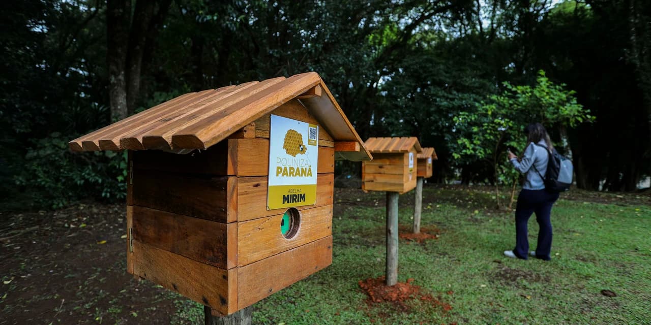 MON recebe três casas de abelhas nativas sem ferrão do Projeto Poliniza Paraná