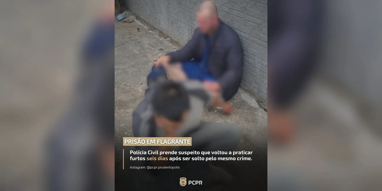 Polícia Civil prende suspeitos envolvidos em furtos ocorridos em Prudentópolis
