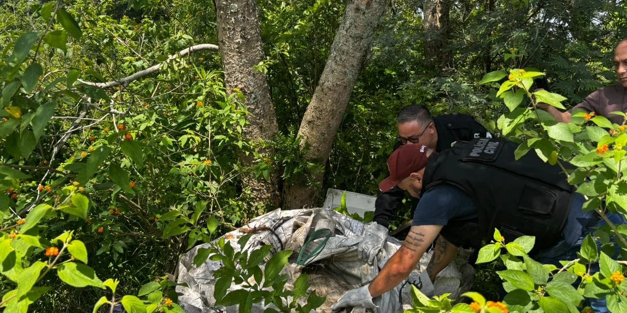 Delegacia de Polícia Civil de Palmeira: Encontrado o corpo do homem que estava desaparecido desde 04 de novembro de 2025.
