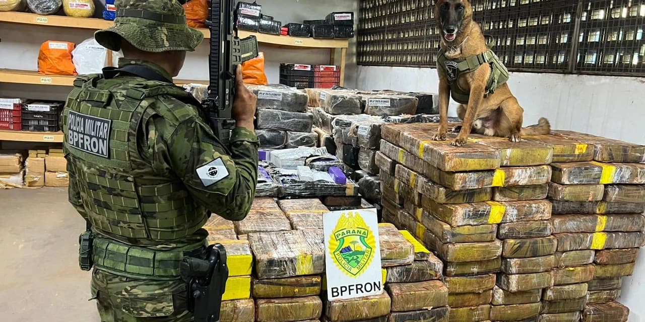 PMPR apreende 1,5 tonelada de maconha escondida em área de mata em Santa Helena