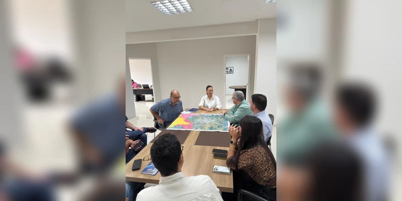 Deputada Mabel Canto (PP) se reúne com diretor-presidente de concessionária para discutir proposta de contorno rodoviário para Ponta Grossa
