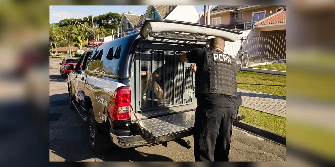PCPR Prende Investigado por Estupro de Vulnerável e Resgata Adolescente em Imbituva