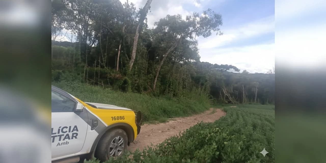 Em Ipiranga polícia ambiental aplica multa de R$ 80 mil