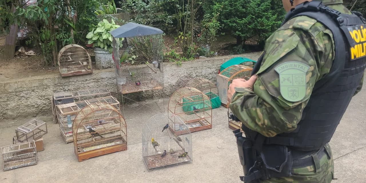 Polícia Militar Ambiental apreende 24 aves nativas em cativeiro ilegal em Contenda
