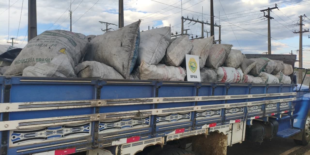 Polícia Ambiental apreende carga irregular de carvão vegetal em Inácio Martins