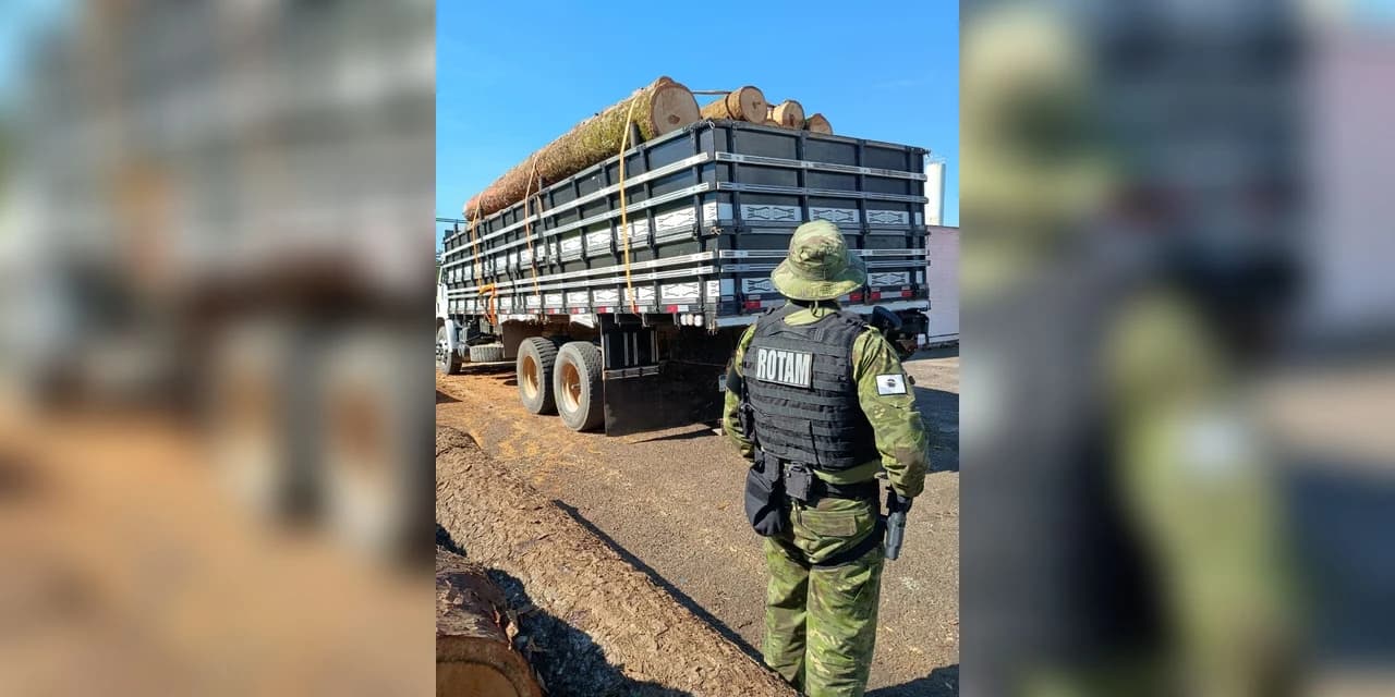 Caminhão carregado com toras de pinheiro araucária é apreendido em Pinhão