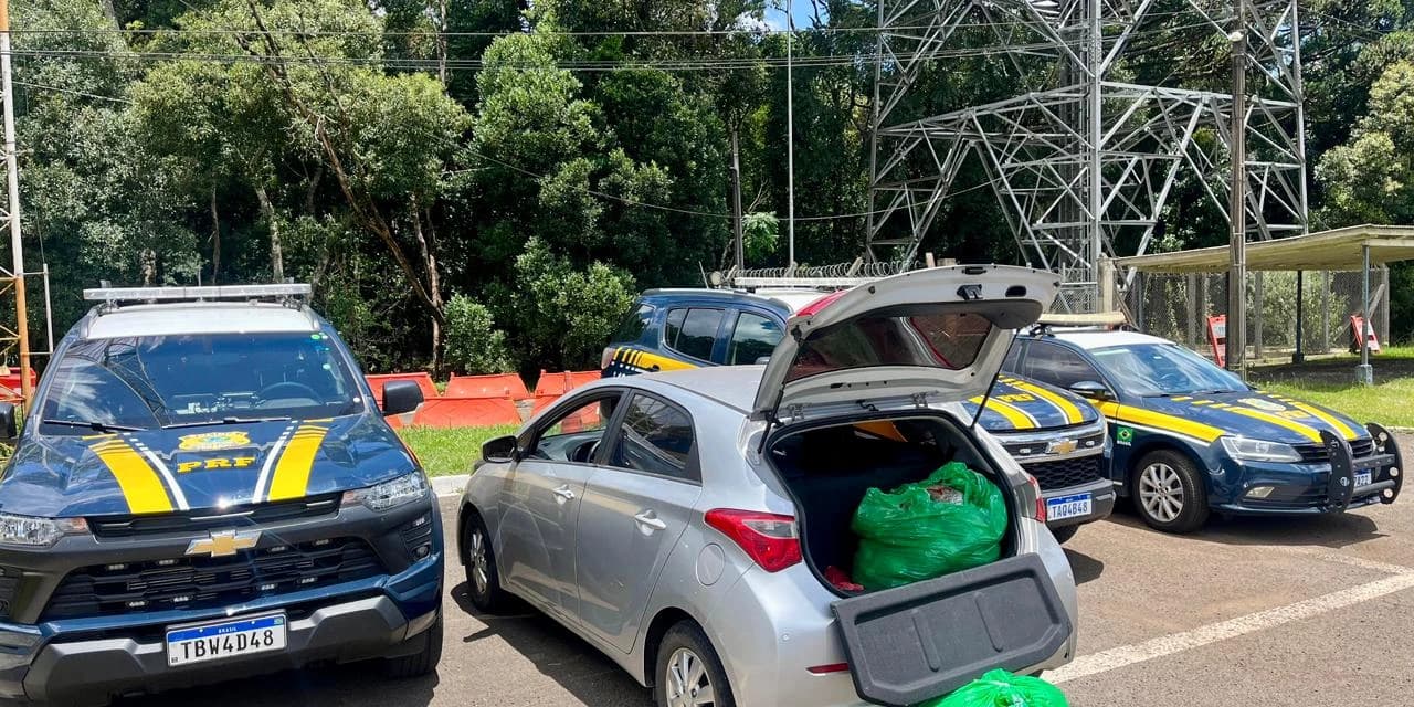 PRF apreende cerca de 28 quilos de skunk durante fiscalização na BR-277, em Guarapuava