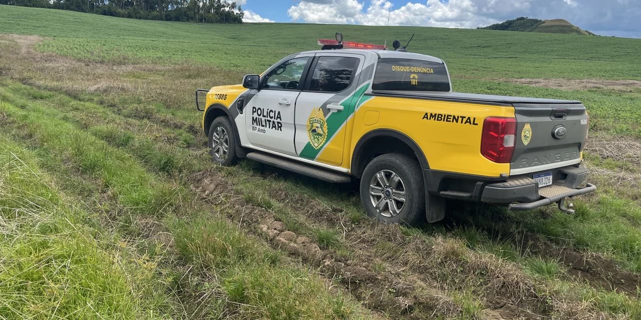 Em Ivaí policiais ambientais constatam ilícitos ambientais e aplicam multa de R$ 87 mil